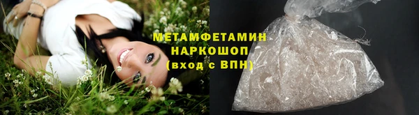 прущие грибы Краснослободск