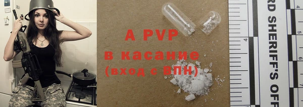 гидра Коряжма