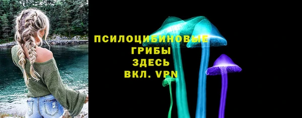 прущие грибы Краснослободск