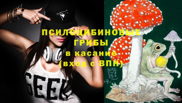 прущие грибы Краснослободск