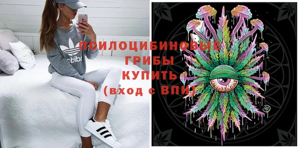 прущие грибы Краснослободск