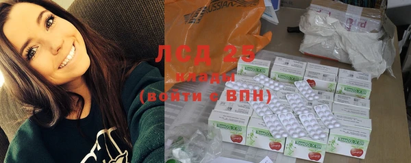 прущие грибы Краснослободск