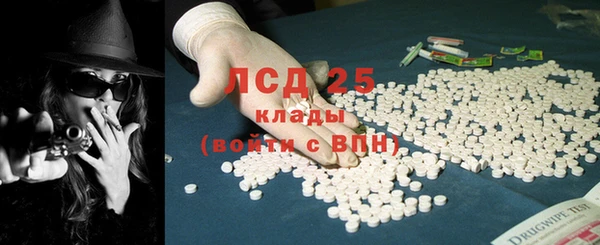 прущие грибы Краснослободск