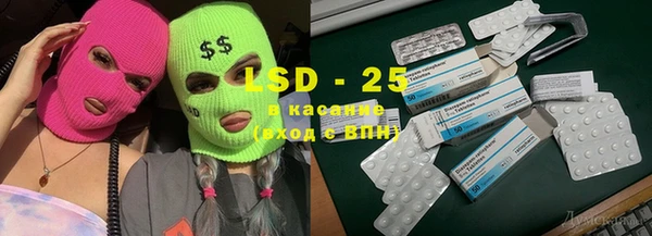 прущие грибы Краснослободск