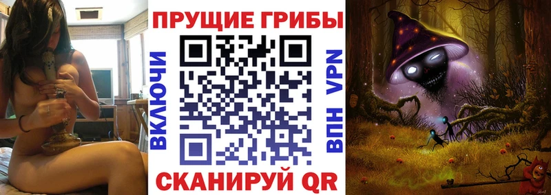 Галлюциногенные грибы мухоморы  Княгинино 